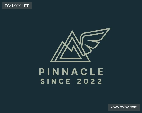 介绍PINNACLE